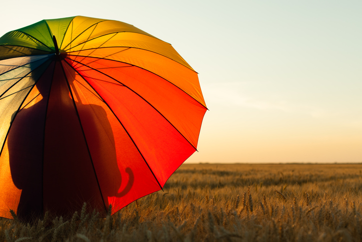 Silhouette holding a rainbow umbrella as the person overlooks an empty field.